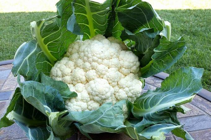 Cauliflower
