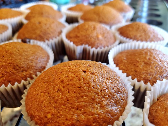 89818937_10158255228781468_7715496486238158848_o